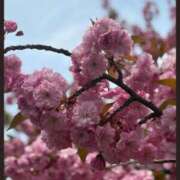 ヒメ日記 2025/05/14 15:02 投稿 筒井　ゆう ソープランド蜜 人妻・美熟女専門店