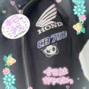 ヒメ日記 2025/05/15 14:06 投稿 筒井　ゆう ソープランド蜜 人妻・美熟女専門店