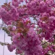 ヒメ日記 2025/05/18 17:32 投稿 筒井　ゆう ソープランド蜜 人妻・美熟女専門店