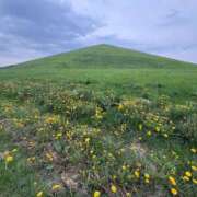 ヒメ日記 2025/05/19 16:52 投稿 筒井　ゆう ソープランド蜜 人妻・美熟女専門店