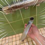 ヒメ日記 2025/06/01 11:50 投稿 筒井　ゆう ソープランド蜜 人妻・美熟女専門店