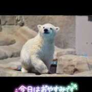 ヒメ日記 2025/06/09 06:50 投稿 筒井　ゆう ソープランド蜜 人妻・美熟女専門店