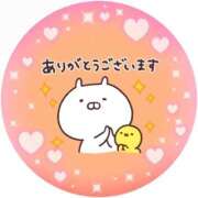 ヒメ日記 2025/06/15 16:22 投稿 筒井　ゆう ソープランド蜜 人妻・美熟女専門店