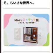 ヒメ日記 2025/06/28 15:15 投稿 筒井　ゆう ソープランド蜜 人妻・美熟女専門店