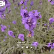 ヒメ日記 2025/07/09 10:42 投稿 筒井　ゆう ソープランド蜜 人妻・美熟女専門店