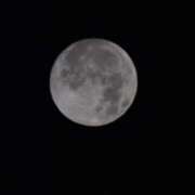 ヒメ日記 2025/09/08 06:42 投稿 筒井　ゆう ソープランド蜜 人妻・美熟女専門店