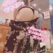 ヒメ日記 2025/09/14 11:52 投稿 筒井　ゆう ソープランド蜜 人妻・美熟女専門店