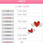 ヒメ日記 2025/11/28 19:22 投稿 筒井　ゆう ソープランド蜜 人妻・美熟女専門店