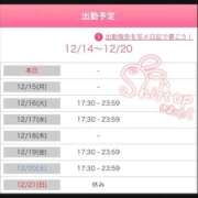 ヒメ日記 2025/12/14 12:52 投稿 筒井　ゆう ソープランド蜜 人妻・美熟女専門店