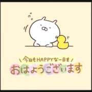 ヒメ日記 2026/01/25 11:32 投稿 筒井　ゆう ソープランド蜜 人妻・美熟女専門店