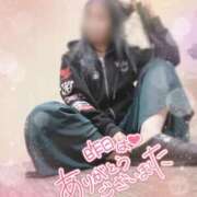 ヒメ日記 2026/02/26 07:12 投稿 筒井　ゆう ソープランド蜜 人妻・美熟女専門店