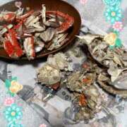 ヒメ日記 2026/05/28 15:05 投稿 筒井　ゆう ソープランド蜜 人妻・美熟女専門店