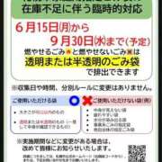 ヒメ日記 2026/06/08 21:12 投稿 筒井　ゆう ソープランド蜜 人妻・美熟女専門店