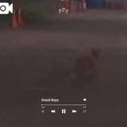 ヒメ日記 2026/06/18 13:52 投稿 筒井　ゆう ソープランド蜜 人妻・美熟女専門店
