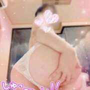 ヒメ日記 2026/09/12 19:52 投稿 筒井　ゆう ソープランド蜜 人妻・美熟女専門店