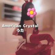 ヒメ日記 2024/12/14 18:25 投稿 うた アメリカンクリスタル