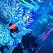 ヒメ日記 2026/04/04 18:05 投稿 うた アメリカンクリスタル