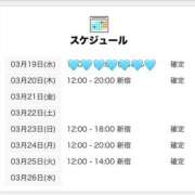 ほの ほの🩵新宿×しんばし 世界のあんぷり亭 新宿総本店