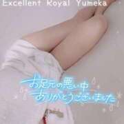 ヒメ日記 2024/05/28 17:09 投稿 ゆめか Excellent Royal