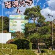 ヒメ日記 2023/11/02 09:34 投稿 あや [優良人妻店]セレブスタイル（山口～防府～萩）