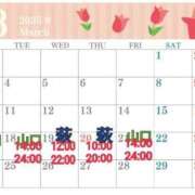 ヒメ日記 2025/03/16 08:26 投稿 あや [優良人妻店]セレブスタイル（山口～防府～萩）