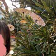 ヒメ日記 2025/03/21 11:51 投稿 あや [優良人妻店]セレブスタイル（山口～防府～萩）