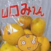 ヒメ日記 2025/10/29 19:51 投稿 あや [優良人妻店]セレブスタイル（山口～防府～萩）