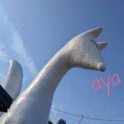 ヒメ日記 2025/11/03 08:32 投稿 あや [優良人妻店]セレブスタイル（山口～防府～萩）