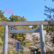 あや こんにちはー [優良人妻店]セレブスタイル（山口～防府～萩）