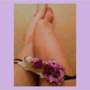 ヒメ日記 2025/03/06 16:34 投稿 とわ 元町奥さま