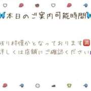 ヒメ日記 2025/12/15 09:32 投稿 あすか 大阪はまちゃん 谷九店