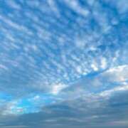 ヒメ日記 2024/12/10 14:33 投稿 あやなみ 小田原人妻城