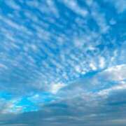 ヒメ日記 2024/12/20 20:15 投稿 あやなみ 小田原人妻城