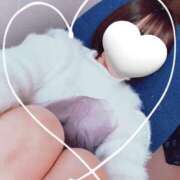 ヒメ日記 2025/11/19 13:46 投稿 あやなみ 小田原人妻城