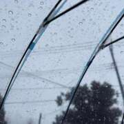 ヒメ日記 2025/12/14 08:31 投稿 あやなみ 小田原人妻城