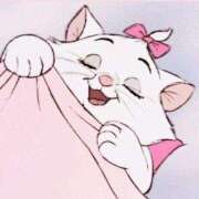 ヒメ日記 2025/09/23 09:55 投稿 くみ CECIL