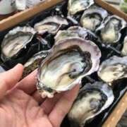 ヒメ日記 2025/04/20 21:52 投稿 日野宮　飛鳥 クラブアイリス名古屋