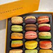 ヒメ日記 2025/01/31 14:12 投稿 月宮 倶楽部 月兎