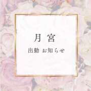 ヒメ日記 2025/05/20 14:02 投稿 月宮 倶楽部 月兎