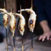 ヒメ日記 2025/05/28 22:42 投稿 月宮 倶楽部 月兎