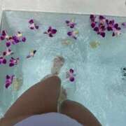 月宮 おはよう☀️ 倶楽部 月兎