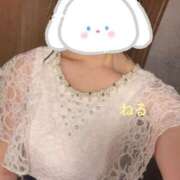 ヒメ日記 2025/08/13 18:02 投稿 音瑠(ねる) 京都泡洗体ハイブリッドエステ