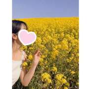 ヒメ日記 2025/03/16 14:53 投稿 近藤ゆうな 乳ビーナス(New Venus)