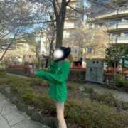 ヒメ日記 2025/04/07 00:03 投稿 りん【美をまとったM女】 STELLA NEXT－ステラネクスト－