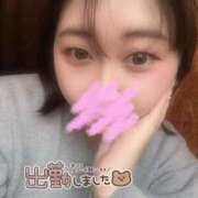 ヒメ日記 2026/02/15 11:13 投稿 かすみ 丸妻 横浜本店