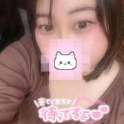 ヒメ日記 2026/02/22 10:42 投稿 かすみ 丸妻 横浜本店