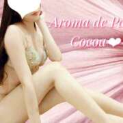 ヒメ日記 2024/02/09 07:58 投稿 ココア Aroma De Pari（アロマ・デ・パリ）