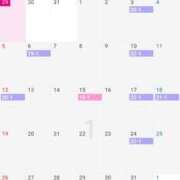 ヒメ日記 2024/12/30 18:16 投稿 ココア Aroma De Pari（アロマ・デ・パリ）