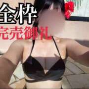 ヒメ日記 2025/01/21 22:29 投稿 大きすぎるって悪い事？『せりか』 ESSENCE