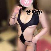 ヒメ日記 2025/03/25 08:04 投稿 大きすぎるって悪い事？『せりか』 ESSENCE